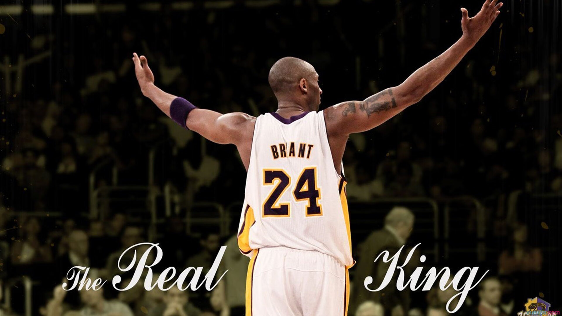 临场应变：天气突变带来的战术博弈，临场变化